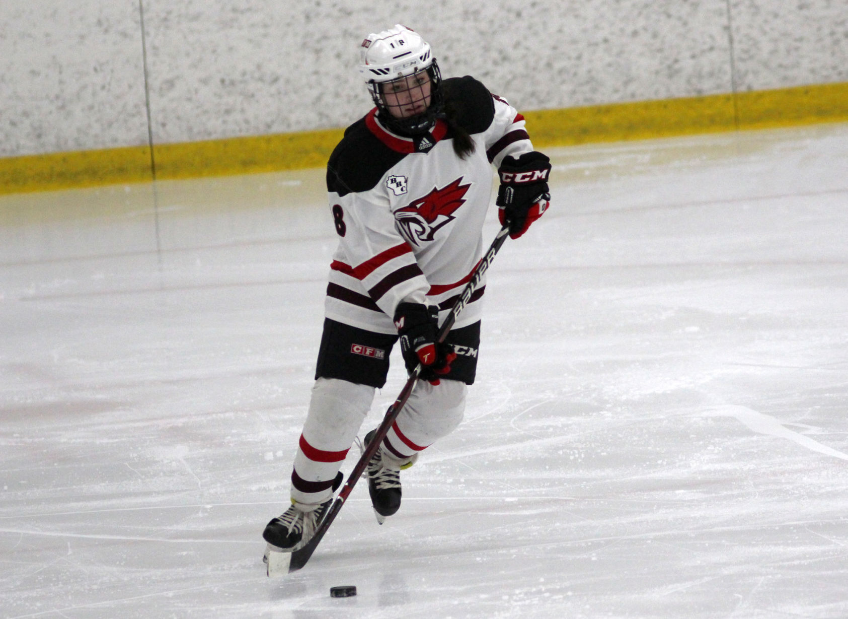 Medford at Chippewa Falls/Menomonie girls hockey 1-30-20